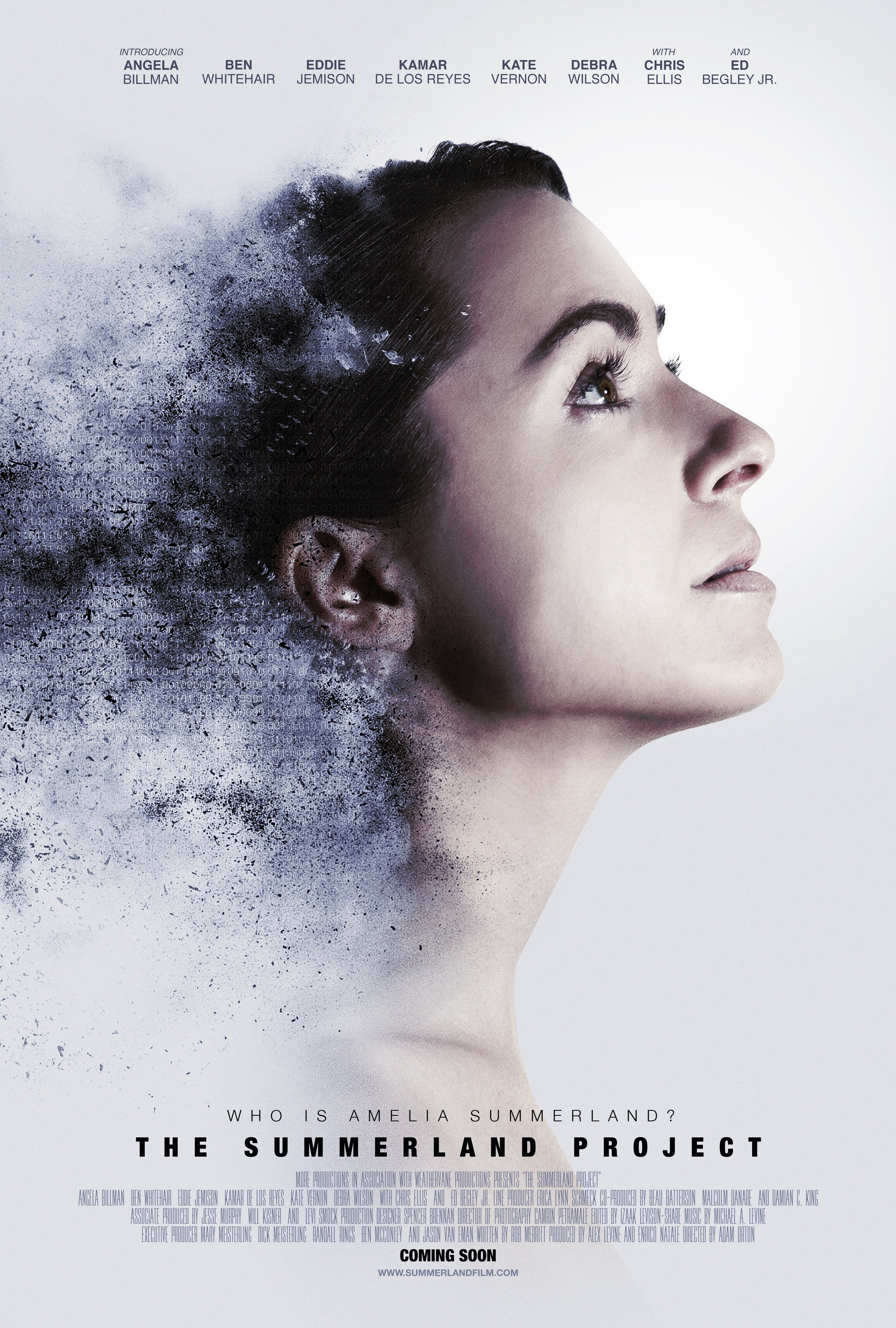 Amelia 2.0 (2017) starring Kate Vernon on DVD on DVD