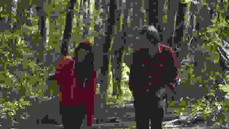Felt (2014) Screenshot 3
