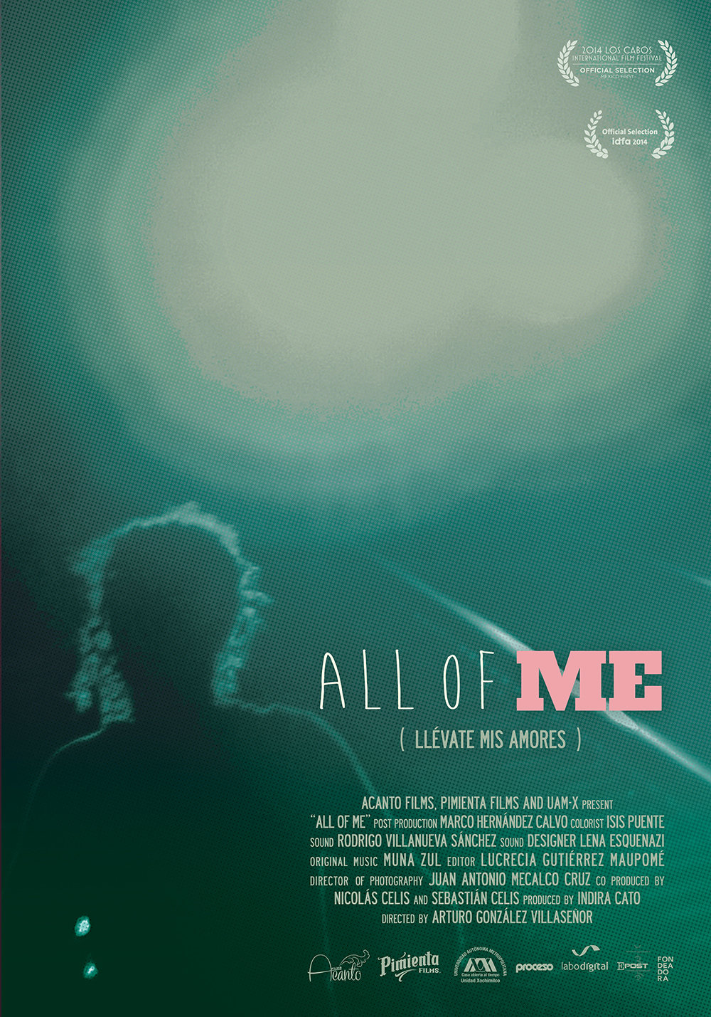 All of Me (2014) Screenshot 1 