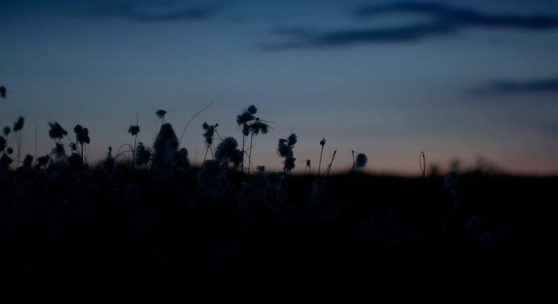 From the Dark (2014) Screenshot 4