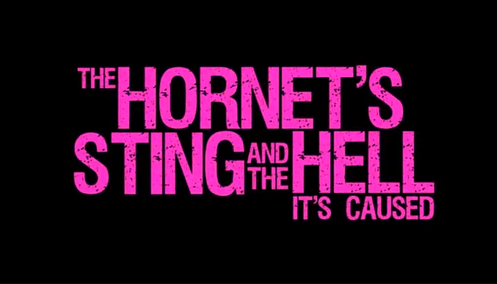 The Hornet's Sting and the Hell It's Caused (2014) Screenshot 5