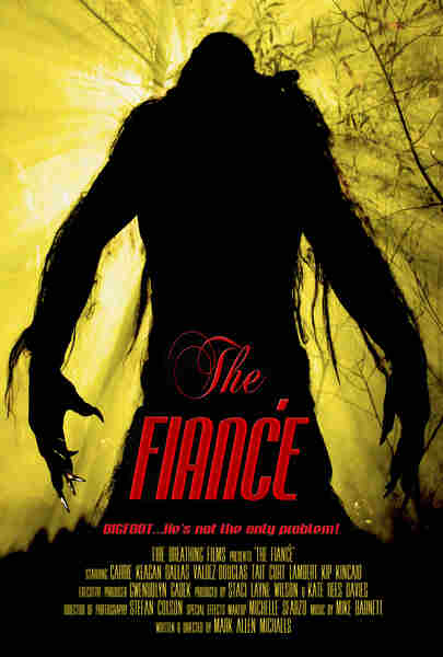 The Fiancé (2016) Screenshot 2