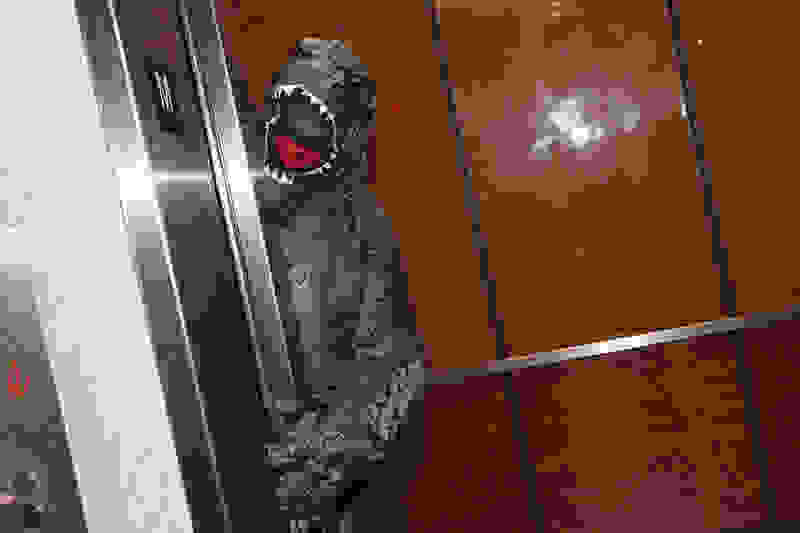 Shin Godzilla (2016) Screenshot 4