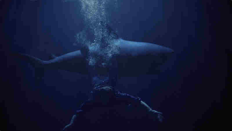 Shark Lake (2015) Screenshot 3