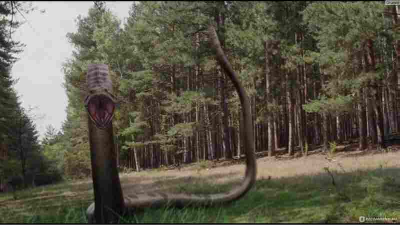 Lake Placid vs. Anaconda (2015) Screenshot 5