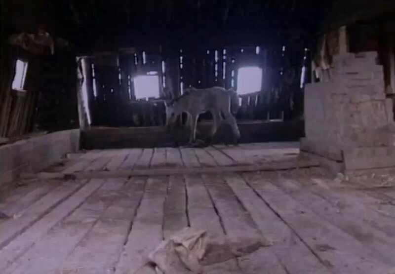 Cursed Ground (1996) Screenshot 4