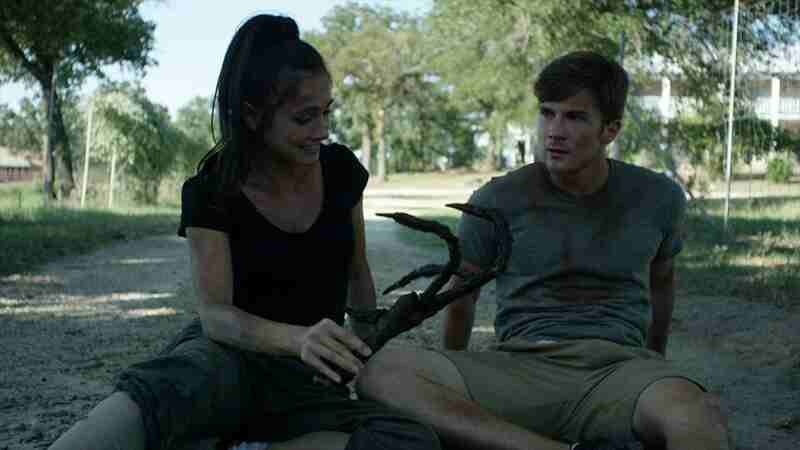 Terror Birds (2016) Screenshot 5