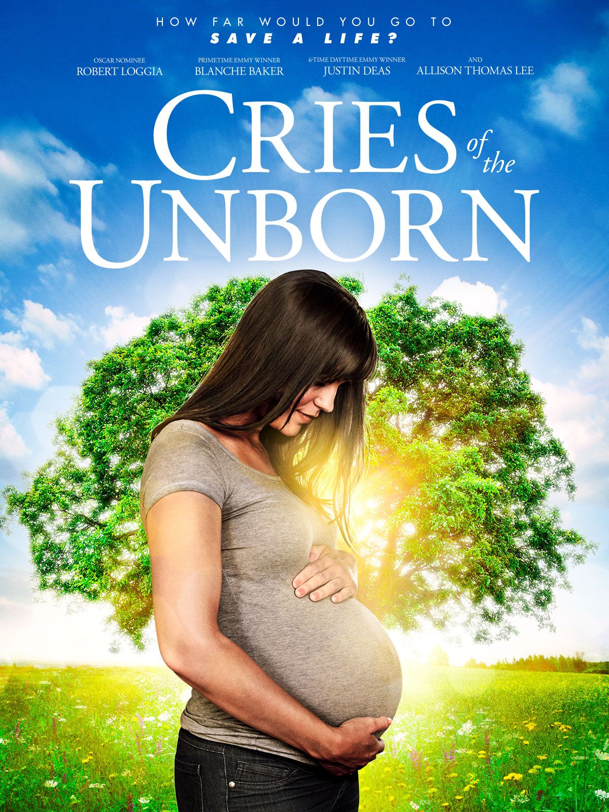 Cries of the Unborn (2017) starring Allison Thomas Lee on DVD on DVD