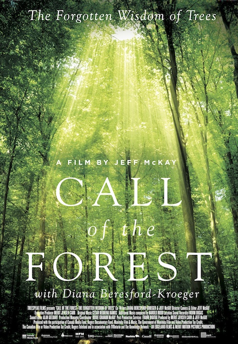 Call of the Forest: The Forgotten Wisdom of Trees (2016) starring Diana Beresford-Kroeger on DVD on DVD