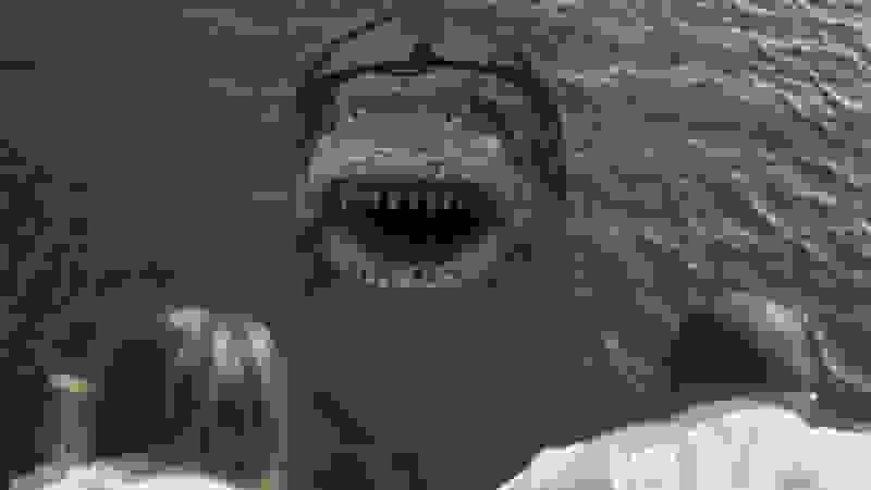 Shark Island (2015) Screenshot 3