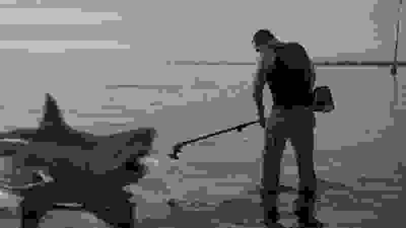 Shark Island (2015) Screenshot 4
