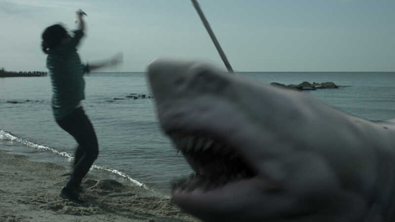 Shark Island (2015) Screenshot 5