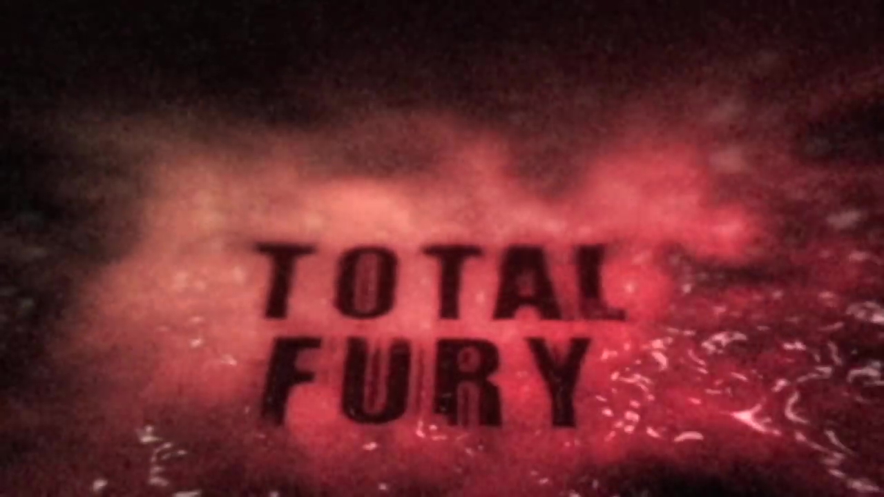 Total Fury (2007) Screenshot 1