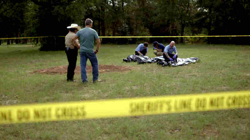 Sightings (2017) Screenshot 1
