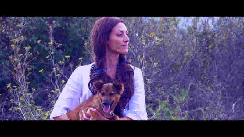 Scarecrowd (2015) Screenshot 1