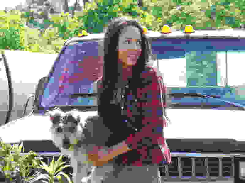 Night of the Wild (2015) Screenshot 1