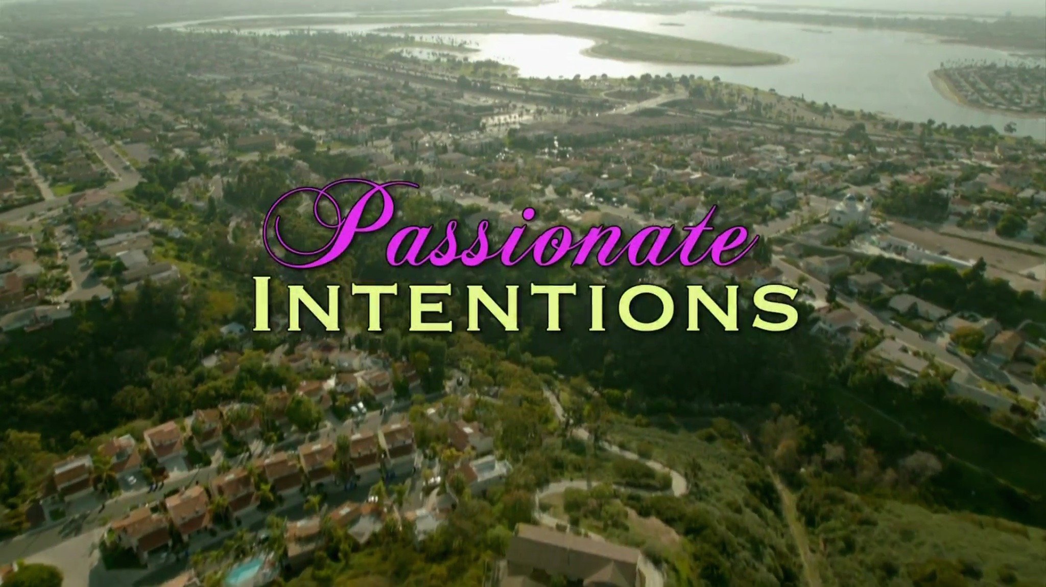 Passionate Intentions (2015) Screenshot 2 