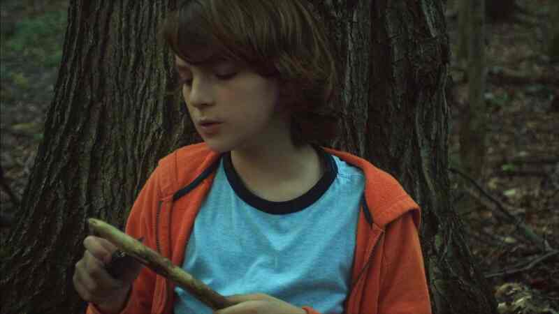 Desolation (2017) Screenshot 1