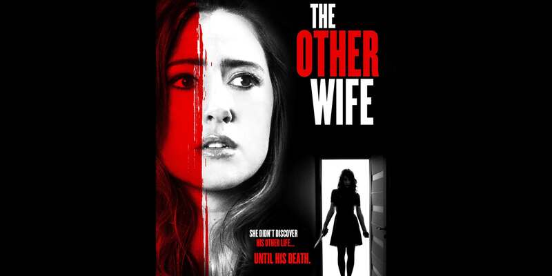 The Other Wife (2016) starring Kimberley Hews on DVD on DVD