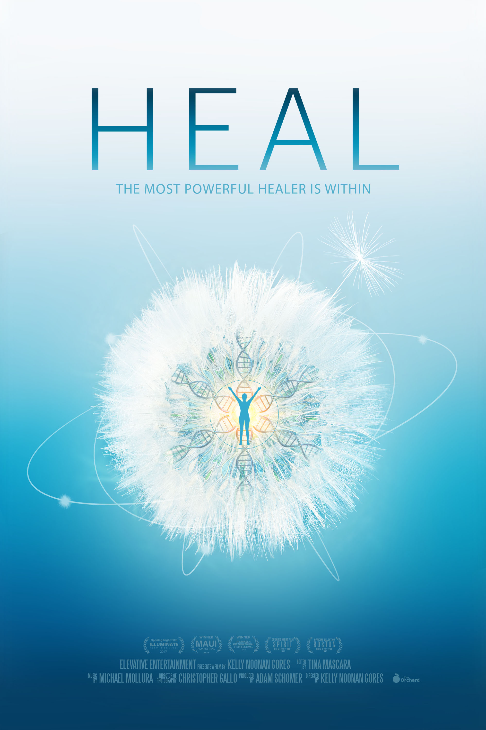 Heal (2017) starring Marianne Williamson on DVD on DVD
