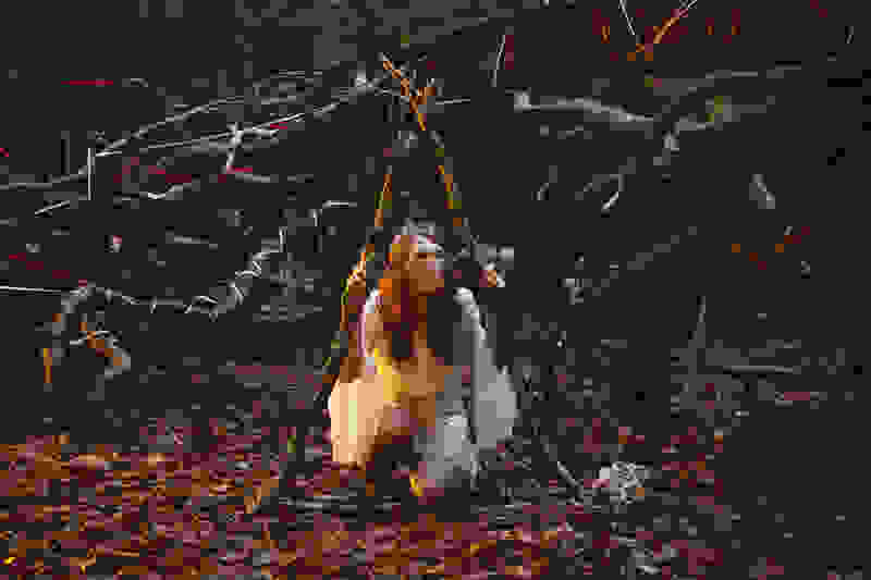 Crone Wood (2016) Screenshot 4