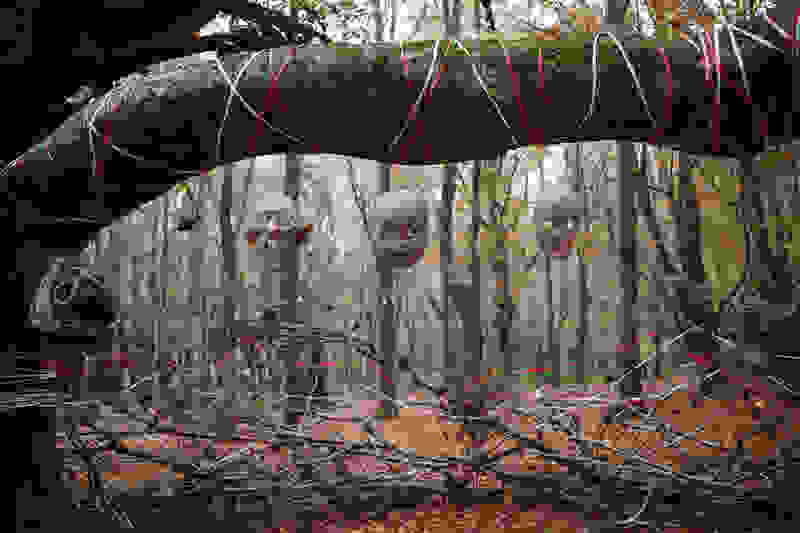 Crone Wood (2016) Screenshot 5