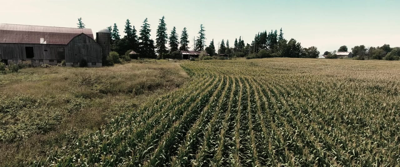 Scarecrows (2017) Screenshot 5 