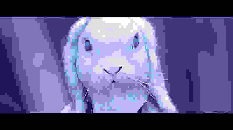 Cottontail (2017) Screenshot 1