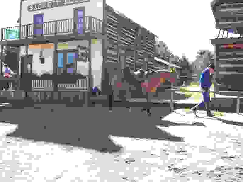 Cactus Creek (2010) Screenshot 1