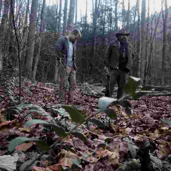 The Night of the Wererooster (2015) Screenshot 4