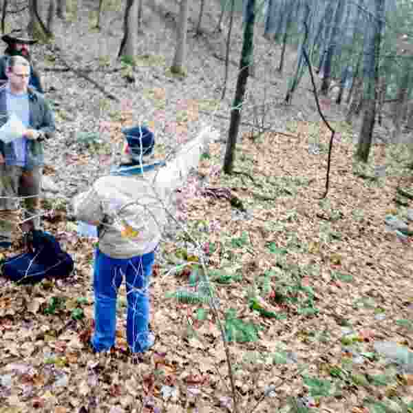 The Night of the Wererooster (2015) Screenshot 5