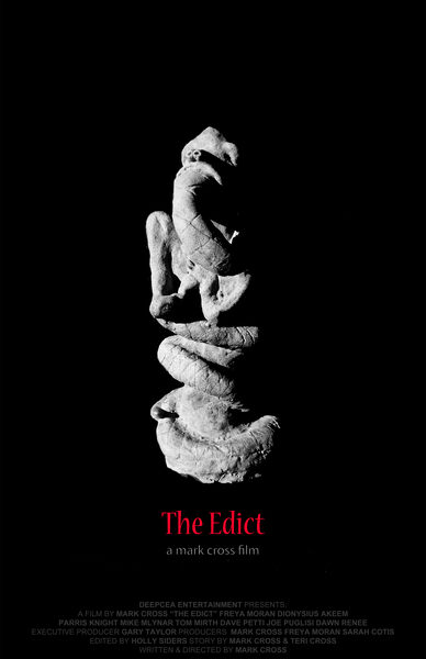 The Edict (2017) Screenshot 4