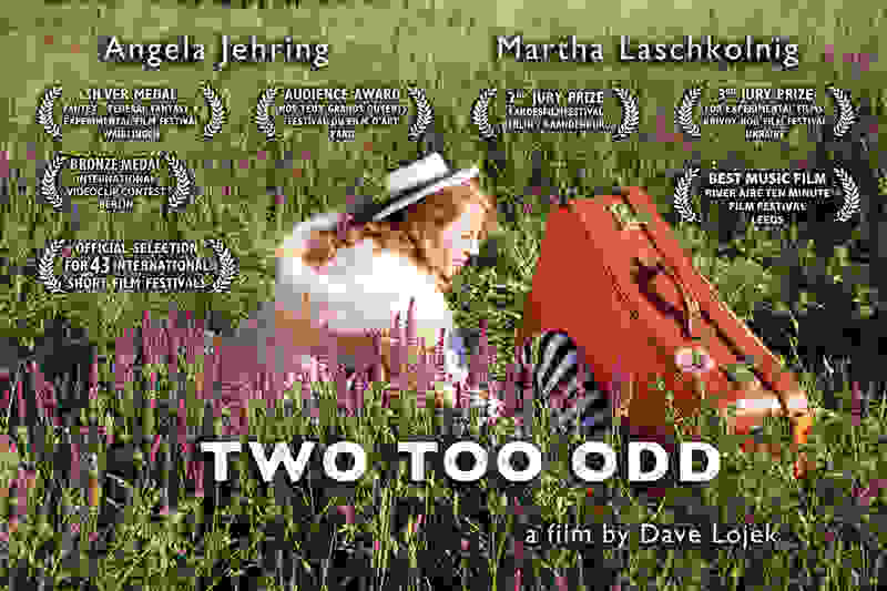 Two Too Odd (2012) Screenshot 2