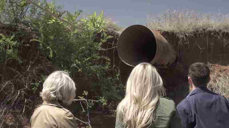The Harvesters (2017) starring Alissa Ford on DVD DVD The Harvesters (2017) Screenshot 4