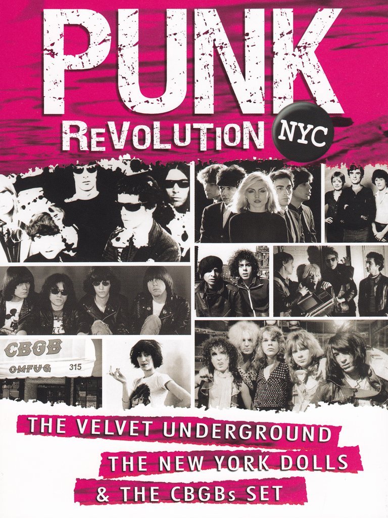 Punk Revolution NYC (2011) Screenshot 1
