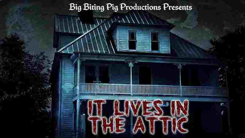 It Lives in the Attic (2016) Screenshot 2