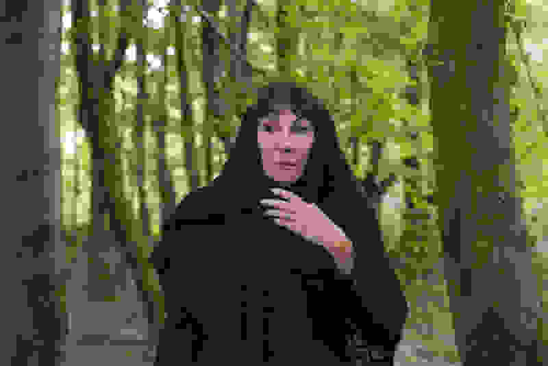 The Watcher in the Woods (2017) Screenshot 1