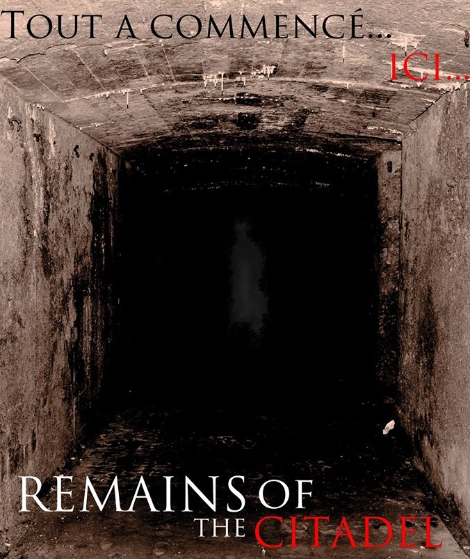 Remains of the Citadel (2013) with English Subtitles on DVD on DVD