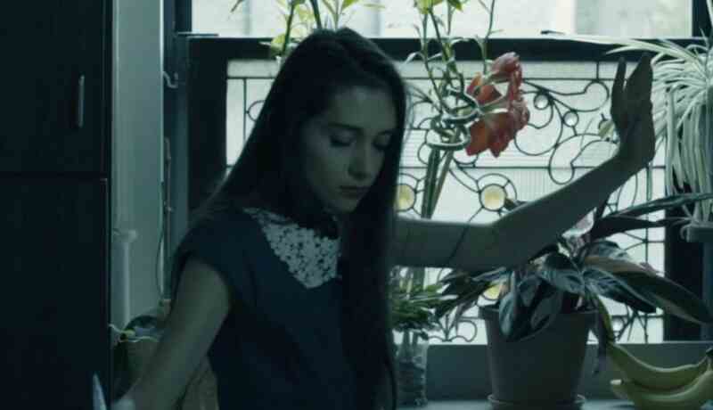 Alma's Secret (2017) Screenshot 3