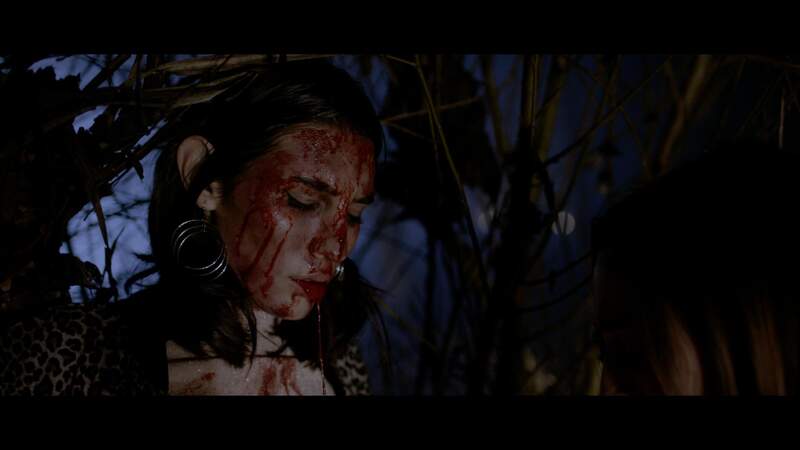 House on Elm Lake (2017) Screenshot 3