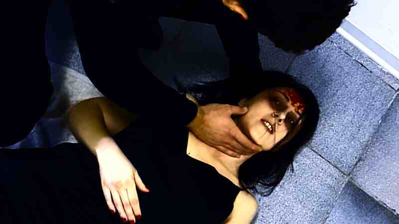 Evil Sherry (2017) Screenshot 4