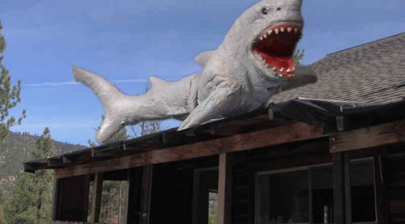 Land Shark (2017) Screenshot 3