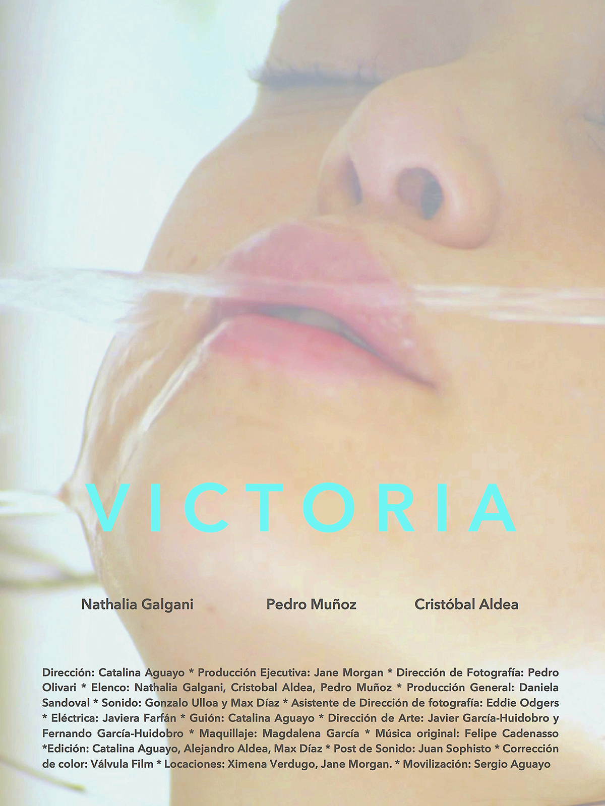 Victoria (2014) with English Subtitles on DVD on DVD