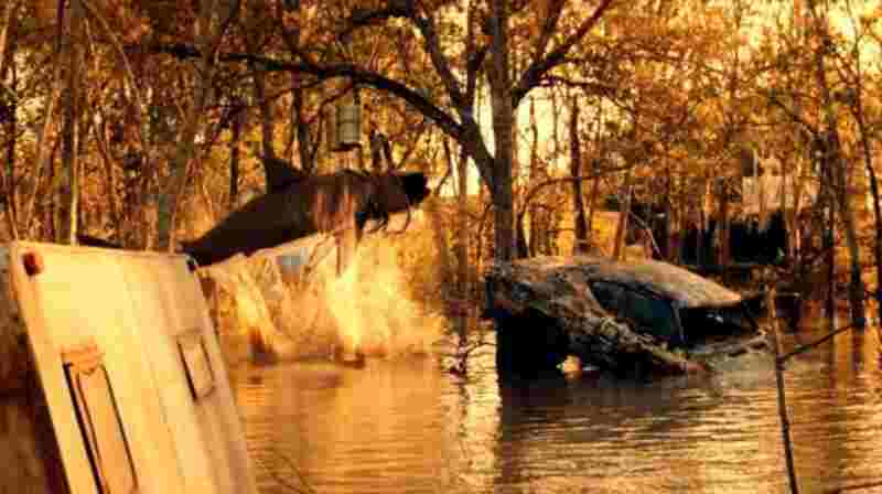 Trailer Park Shark (2017) starring Thomas Ian Nicholas on DVD DVD Trailer Park Shark (2017) Screenshot 4