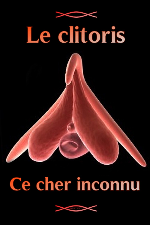 Le clitoris, ce cher inconnu (2003) with English Subtitles on DVD on DVD