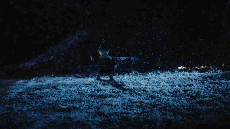 The Enchanted (2016) Screenshot 2