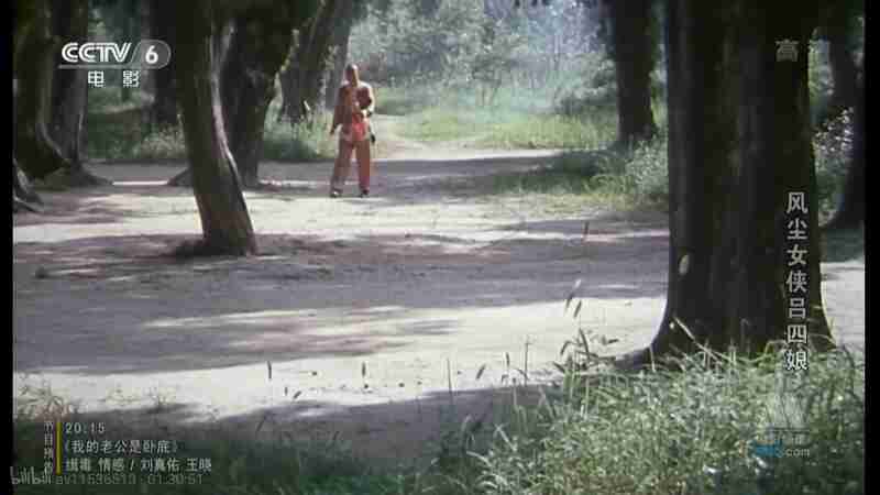 Feng chen nü xia lü si niang (1988) Screenshot 5