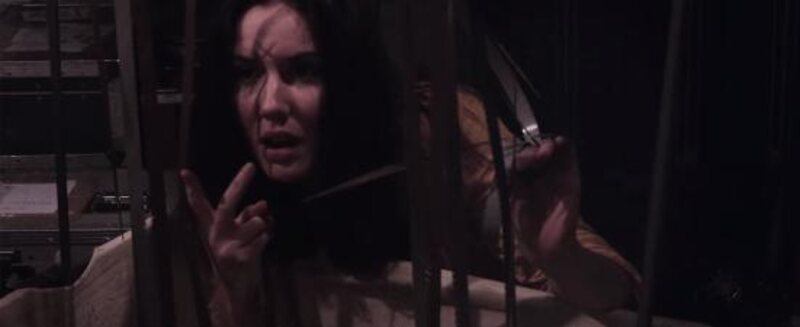 The Last of the Manson Girls (2018) starring Jen Bevan on DVD DVD The Last of the Manson Girls (2018) Screenshot 5