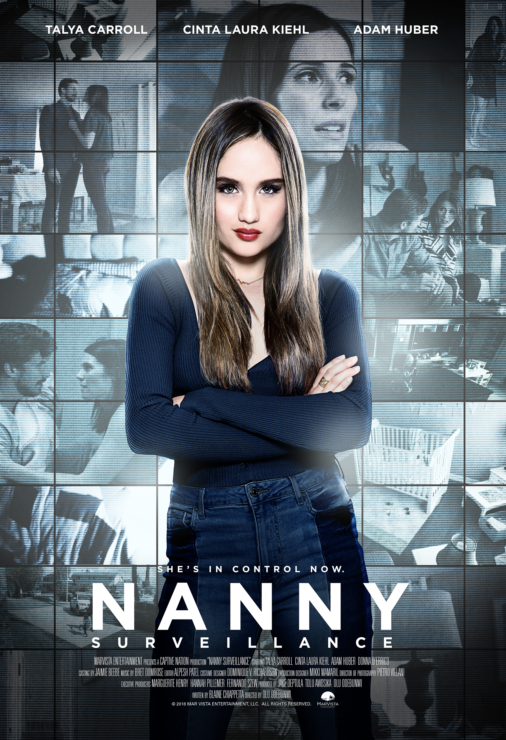 Nanny Surveillance (2018) starring Talya Carroll on DVD on DVD