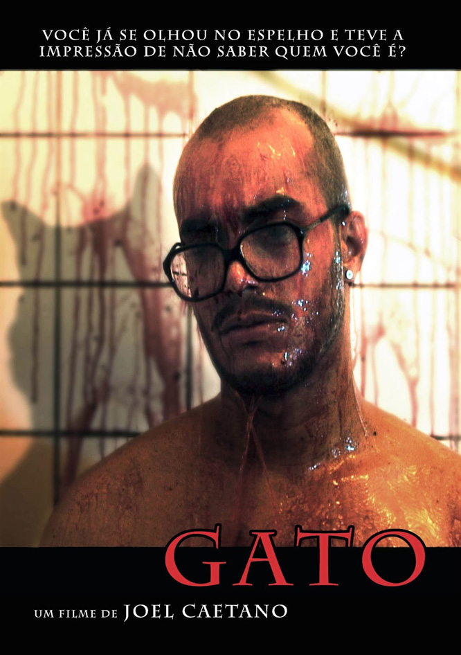 Gato (2009) Screenshot 3